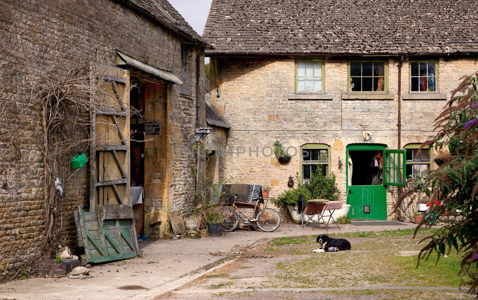 Traditional Cotswold farmyard with sheep dog, Stow on the Wold, Gloucestershire, England.