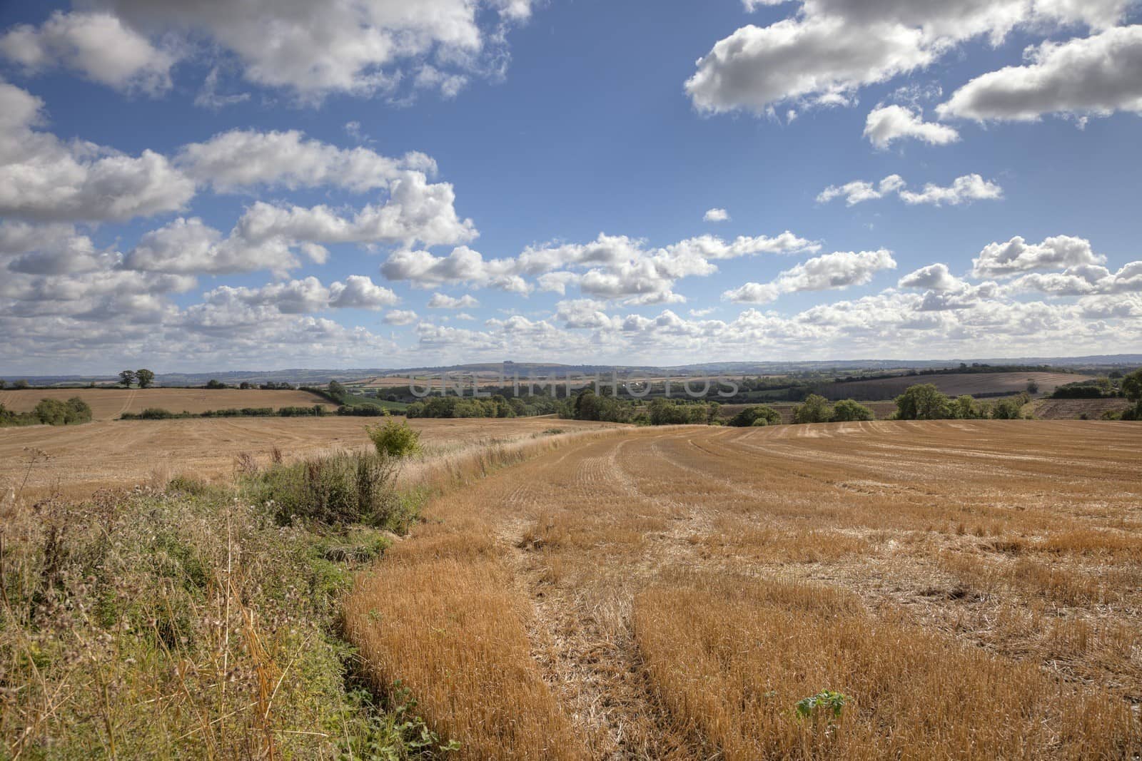 Wheat fields after harvest, English countryside, Gloucestershire, England.