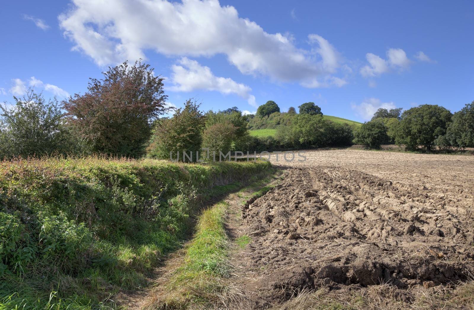 Rural England showing ploughed field, hedgerows and hills in late Summer.