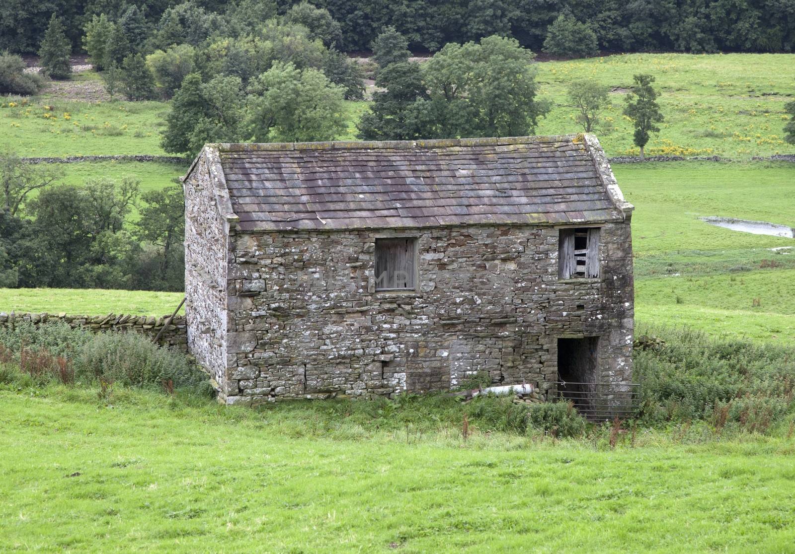 Field barn used to store hay for the winter, , Swaledale, Yorkshire Dales National Park, England.