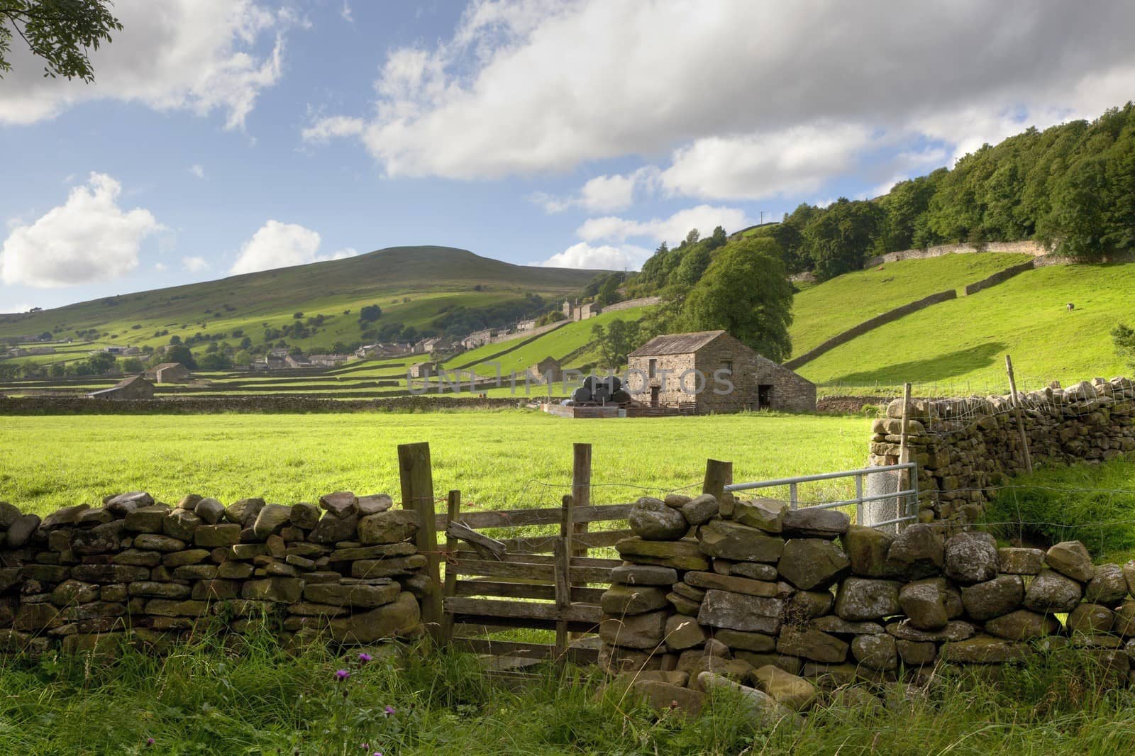 Looking over an old stone wall towards Gunnerside, Swaledale, Yorkshire Dales, England.