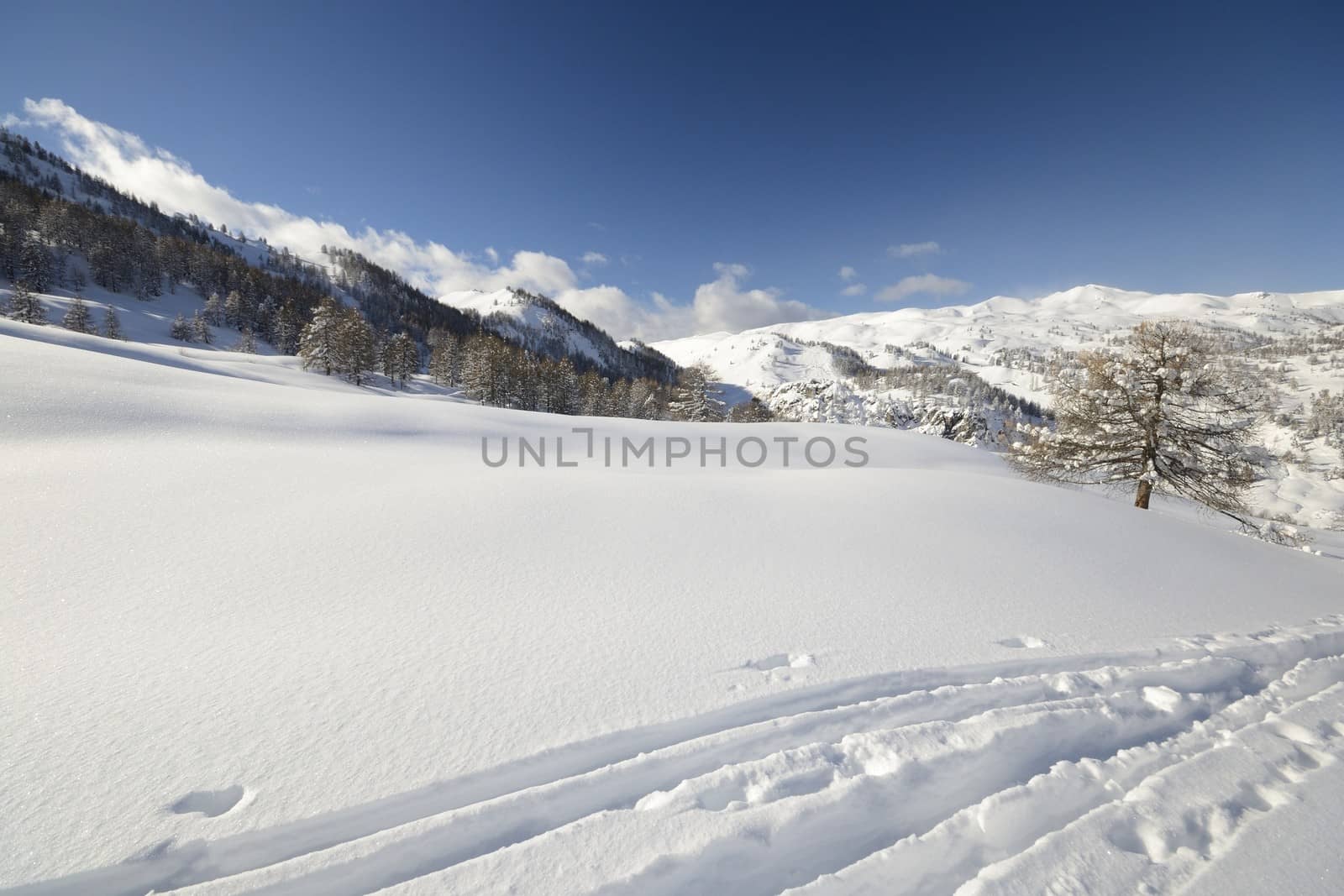 Off piste snowy ski slope in majestic high mountain scenery during ski touring activity in the italian Alps