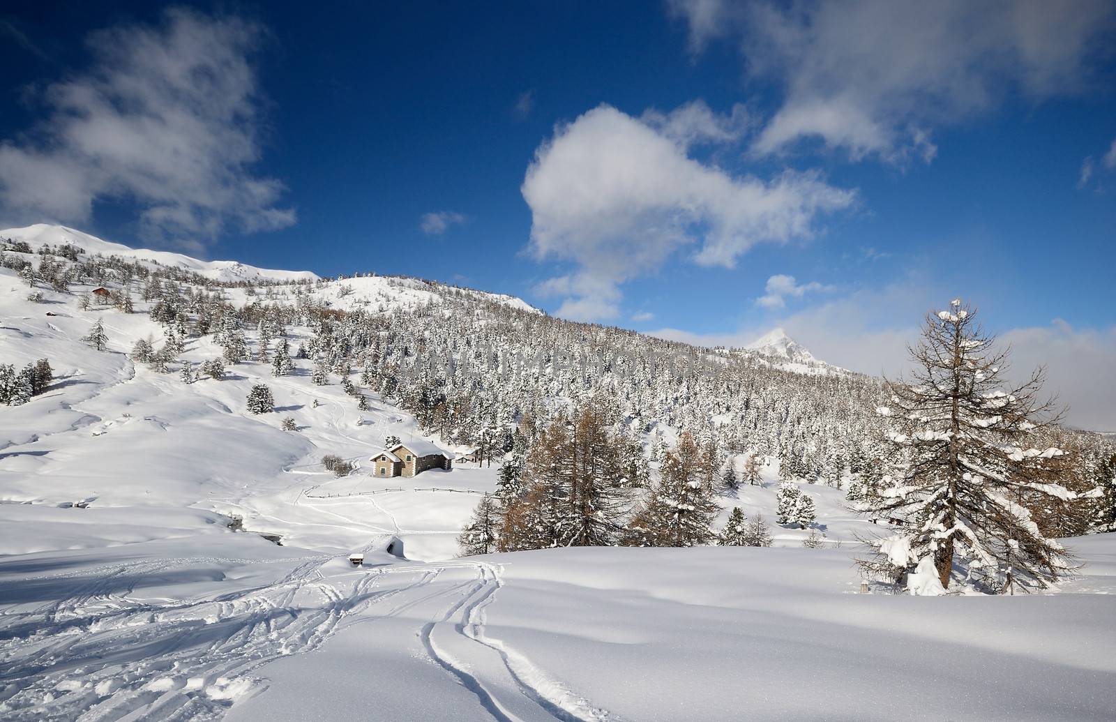 Off piste snowy ski slope in majestic high mountain scenery during ski touring activity in the italian Alps