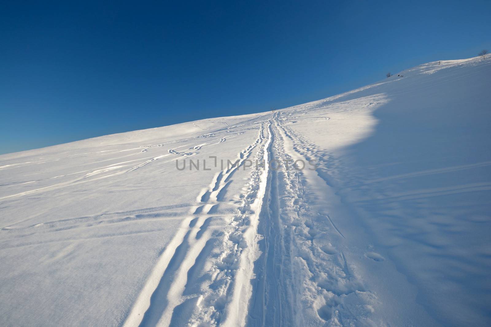 Ski touring (back country skiing) in majestic high mountain scenery, italian Alps