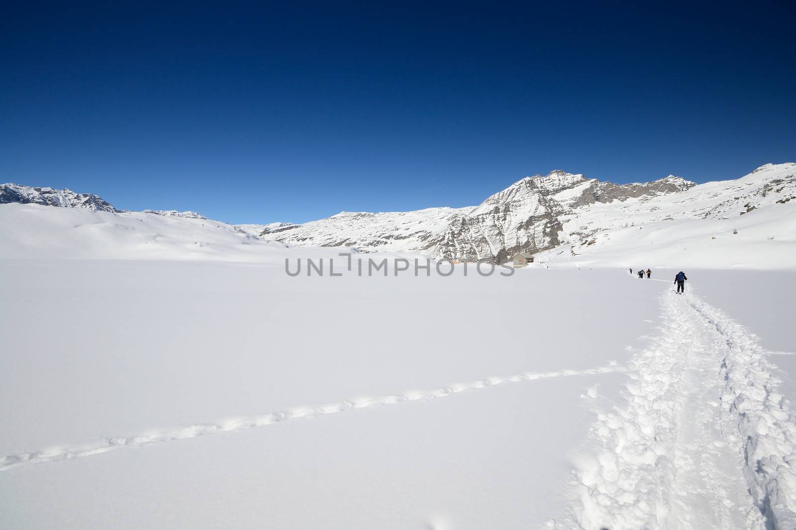 Group of alpinist hiking uphill by ski touring in powder snow in scenic high mountain view