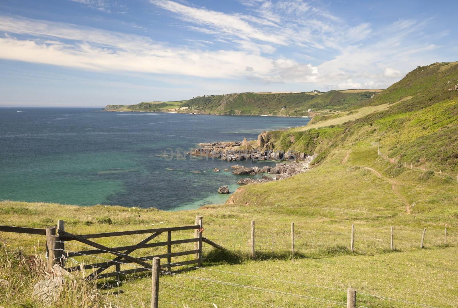 Devon coastline in summer by andrewroland