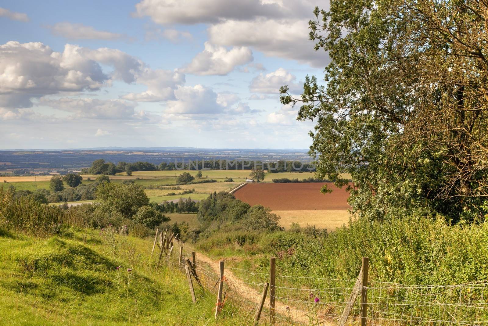 The Cotswold Way, Gloucestershire, England.