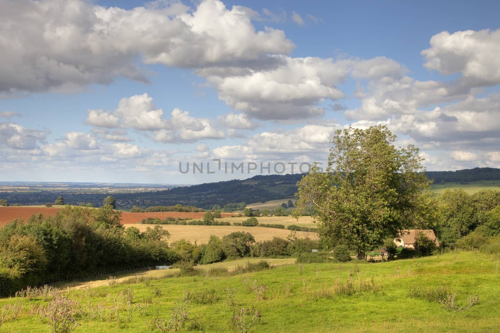 Cotswold landscape in late summer, Gloucestershire, England.