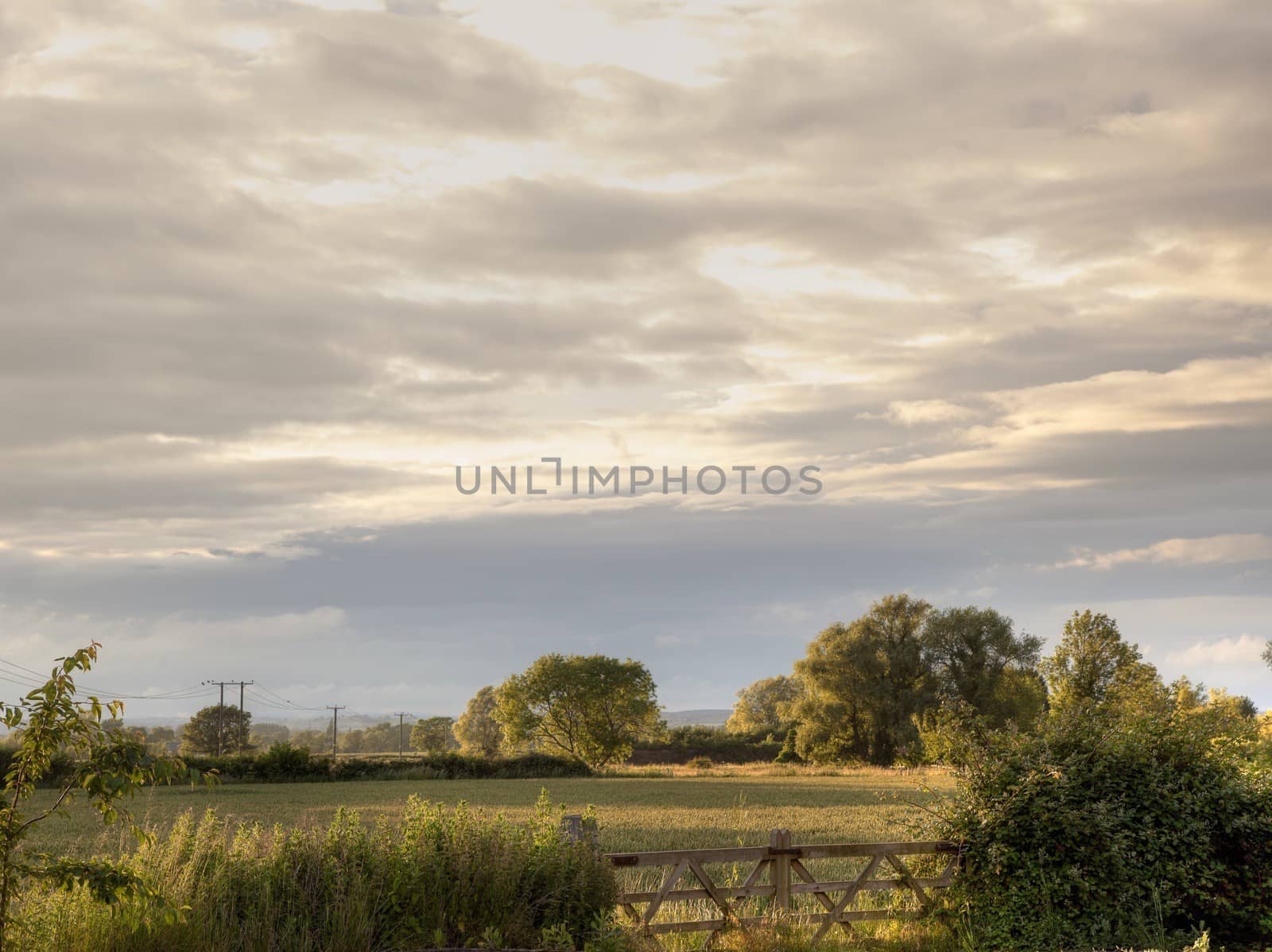 Field and gate background at sunset, Gloucestershire, England.