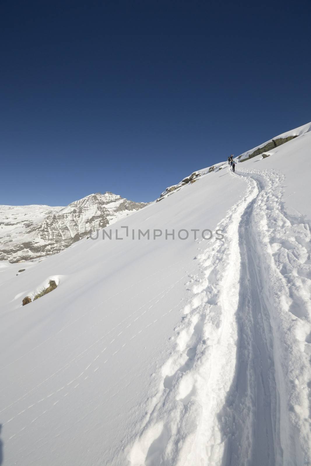 Group of alpinist hiking uphill by ski touring in powder snow in scenic high mountain view