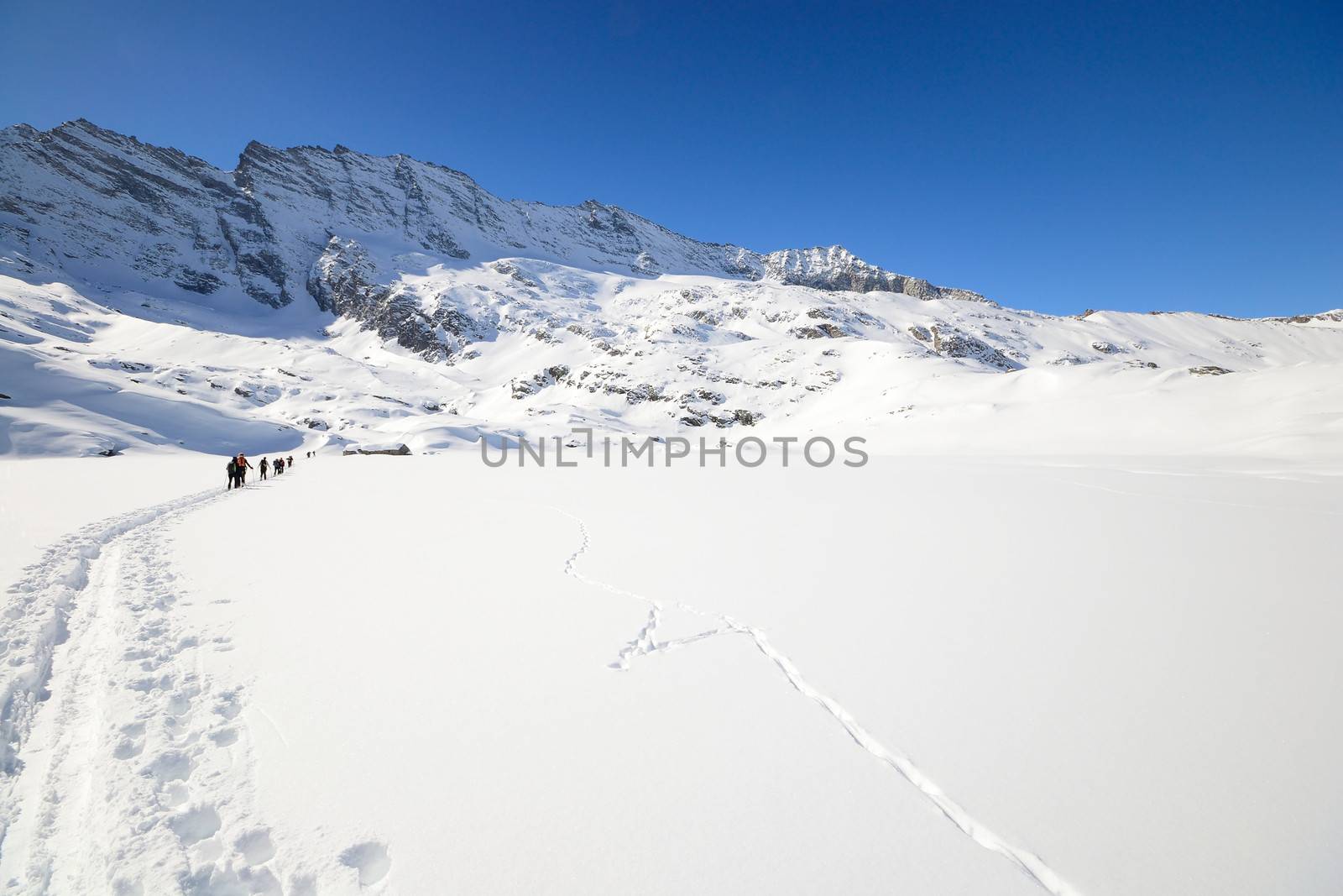 Group of alpinist hiking uphill by ski touring in powder snow in scenic high mountain view