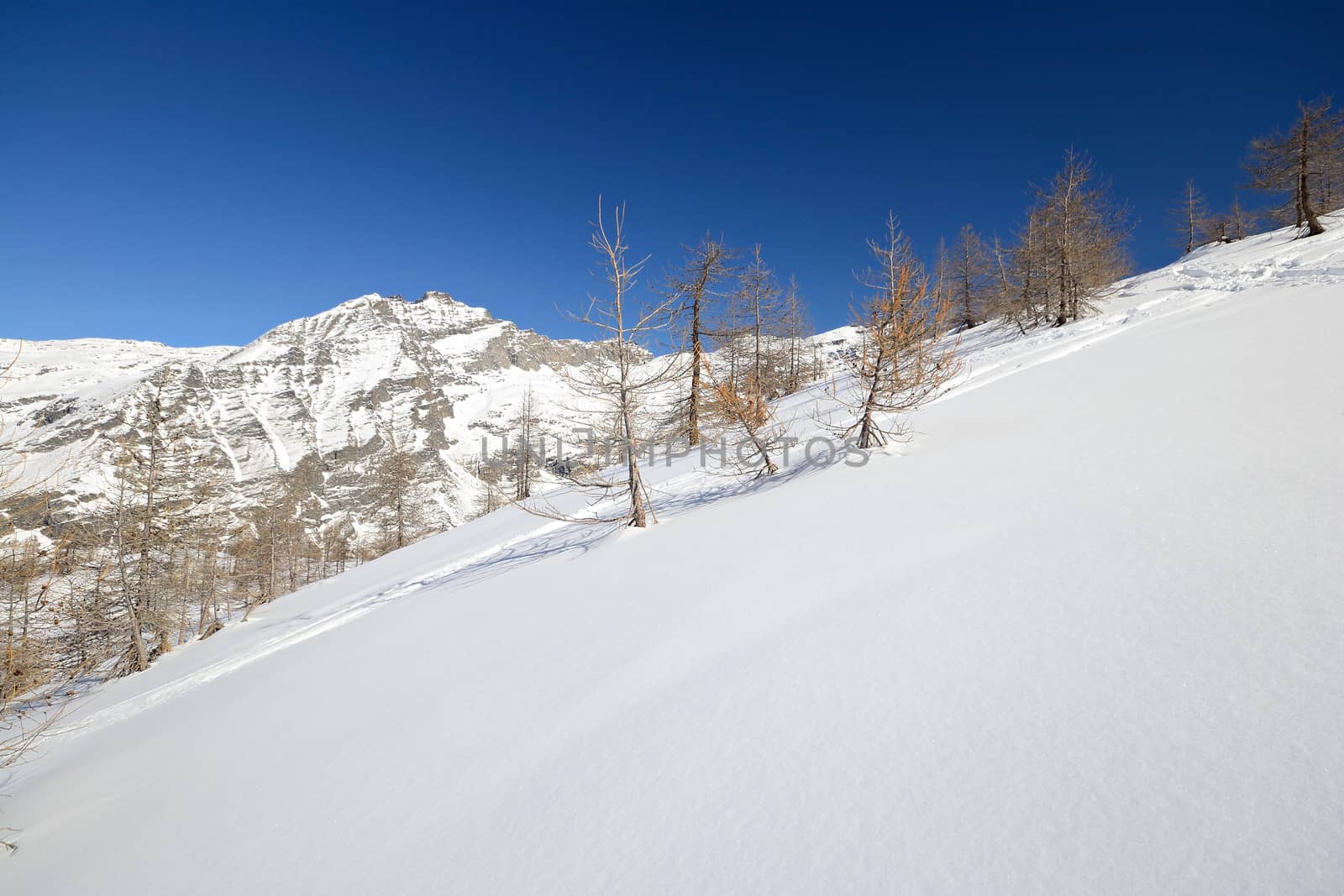 Candid off piste ski slope in scenic background of high mountain peaks, Gran Paradiso National Park, italian Alps