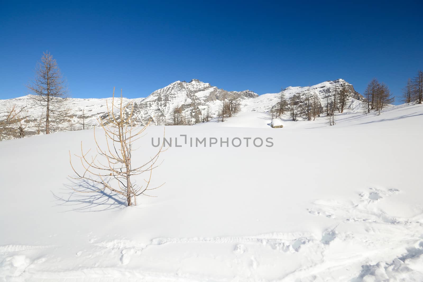 Candid off piste ski slope in scenic background of high mountain peaks, Gran Paradiso National Park, italian Alps