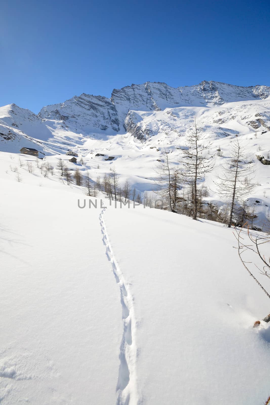 Wildlife traces on a snowy slope in scenic high mountain view, Gran Paradiso National Park, italian Alps