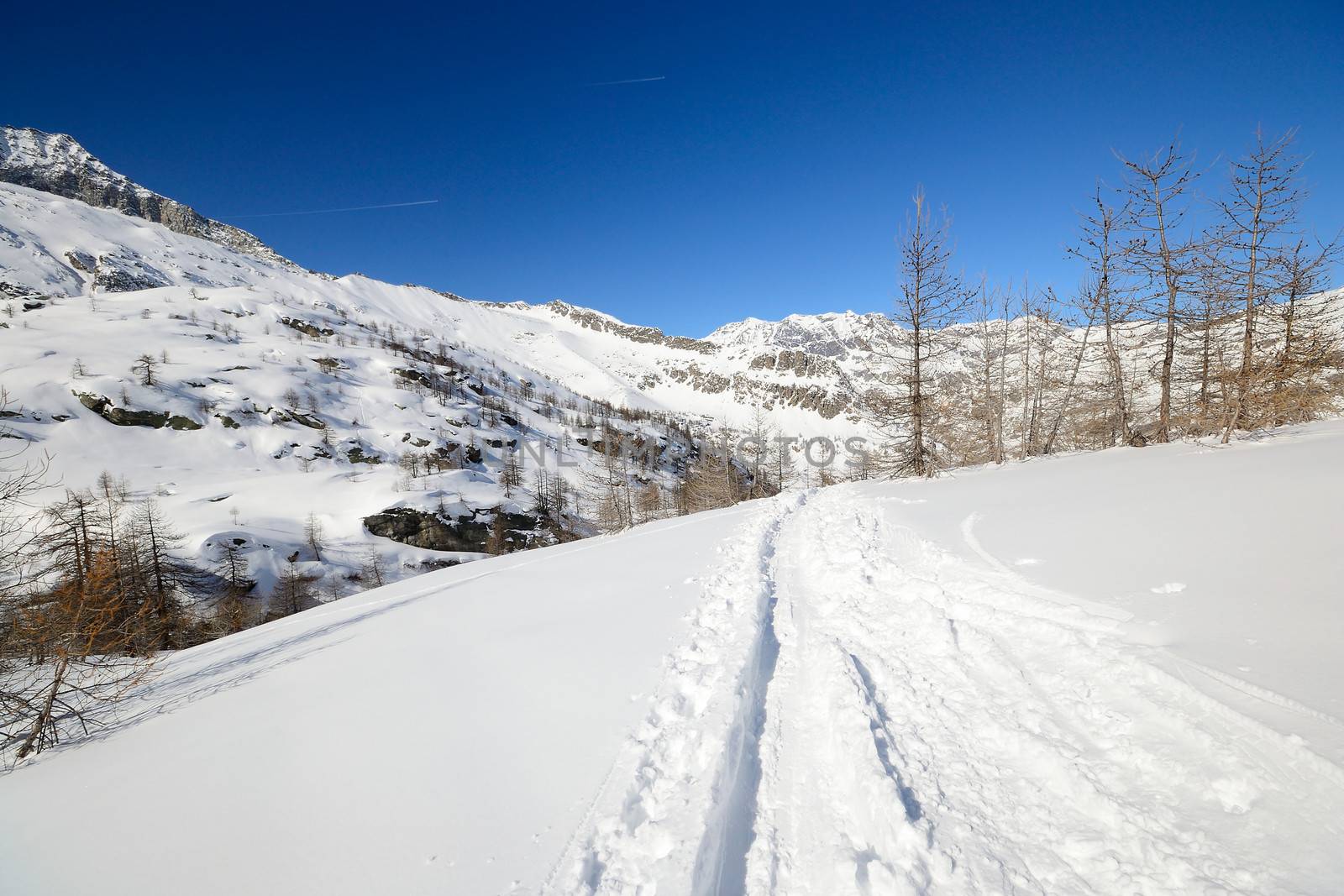 Tour ski tracks on snowy slope in winter scenic landscape