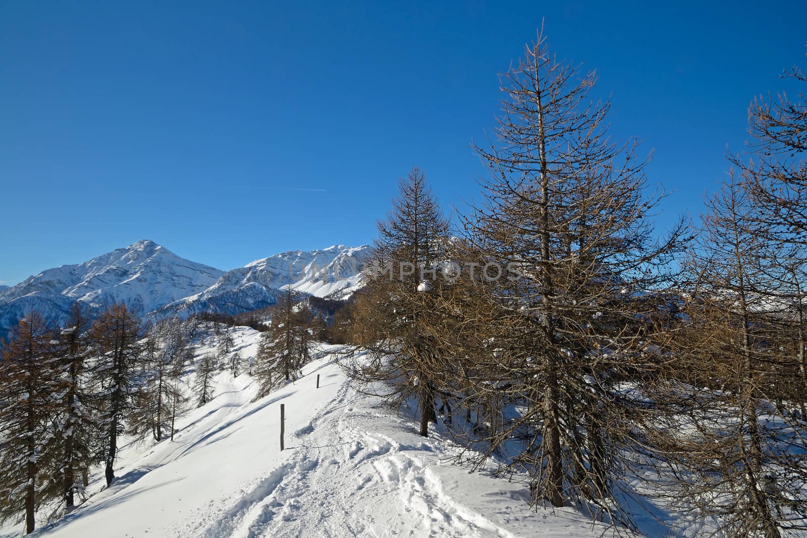 Back country ski tracks on the top of a mountain in a scenic alpine winter landscape