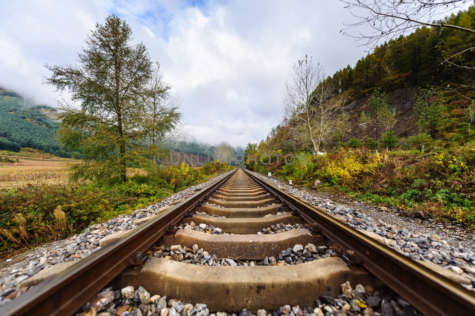 the Railroad tracks in Changbai mountain of Jilin province.