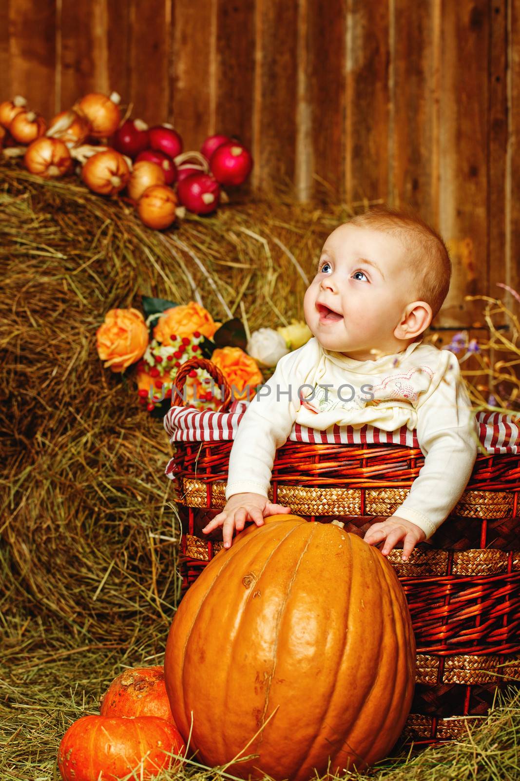 Girl and halloween pumpkins by Vagengeym