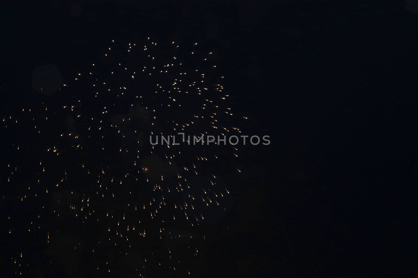 Colorful firework in the black night sky