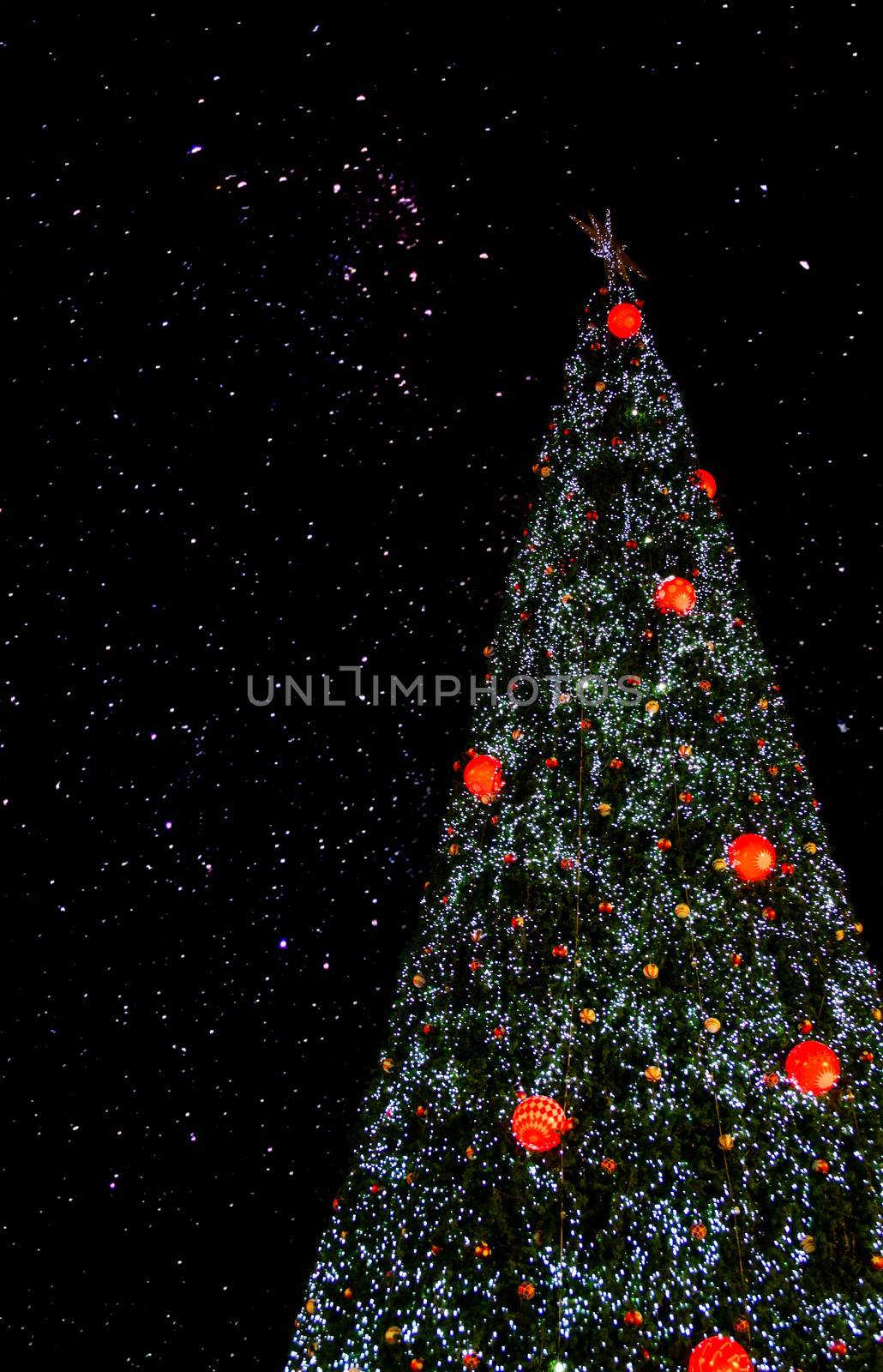 christmas tree in the night sky with stars