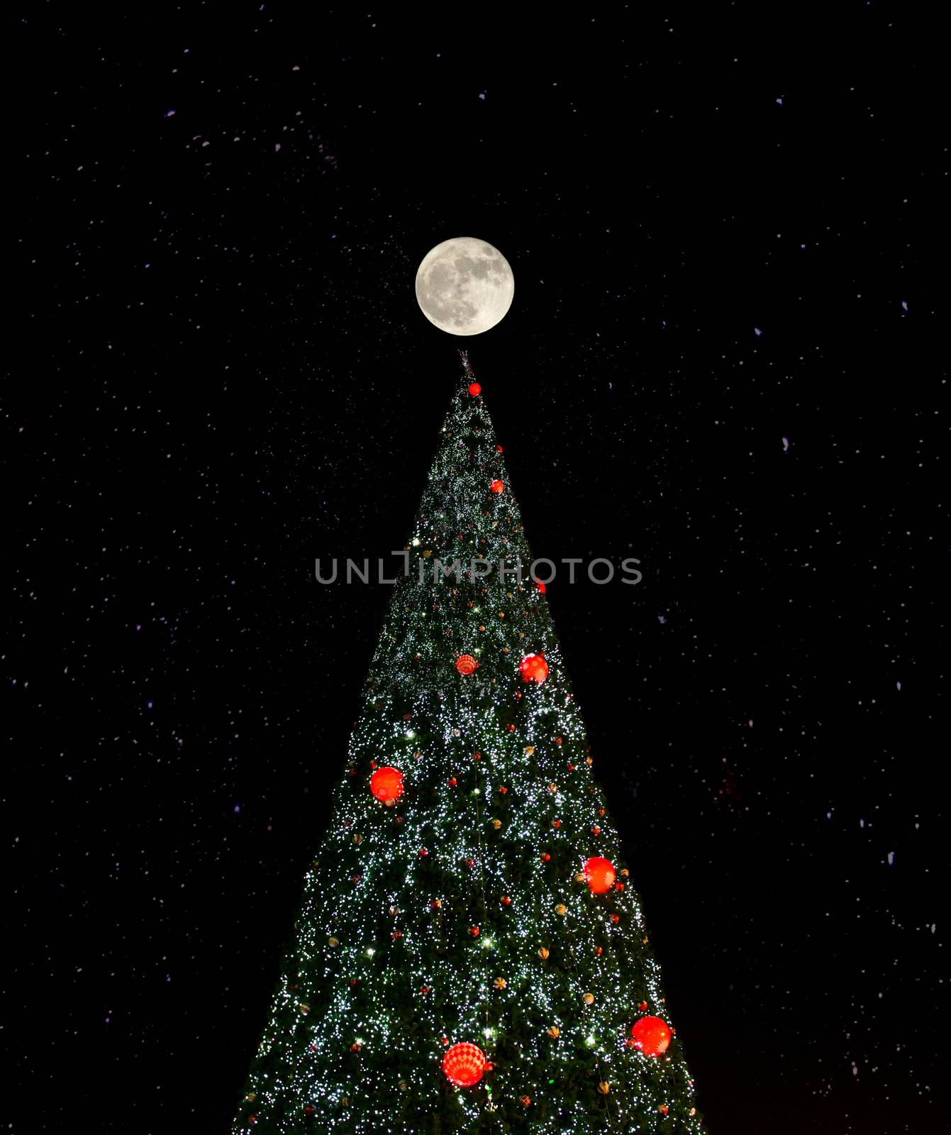christmas tree in the night sky by apichart