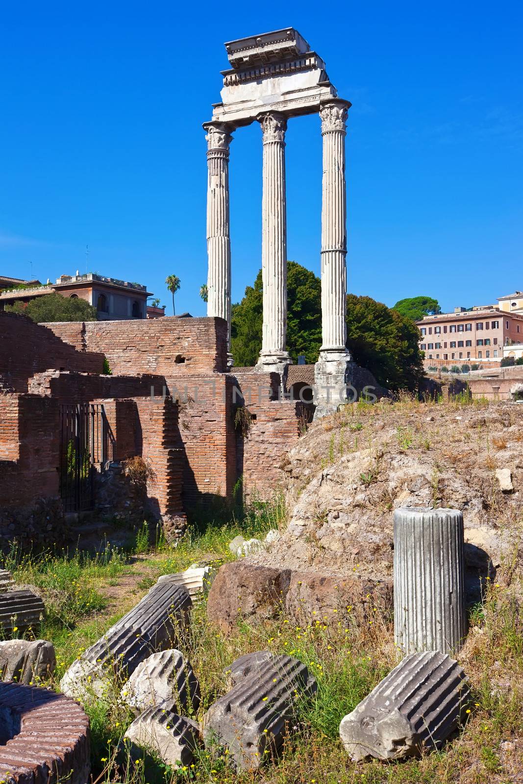 Ruins of famous ancient Roman Forum in Rome, Italy