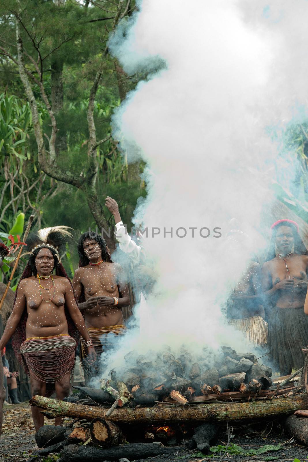 DUGUM DANI VILLAGE, BALIEM VALLEY, IRIAN JAYA, NEW GUINEA, INDONESIA - Juny 20, 2012:   In DUGUM Dani Village, Unidentified women of a Papuan tribe uses an earth oven method of cooking pig, in New Guinea Island,.  On Juny 20, 2012