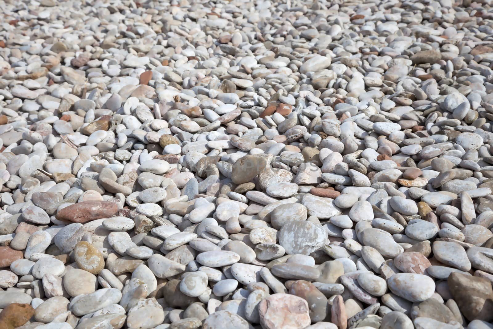 Pebbles on Elberry Cove beach, Devon, England.