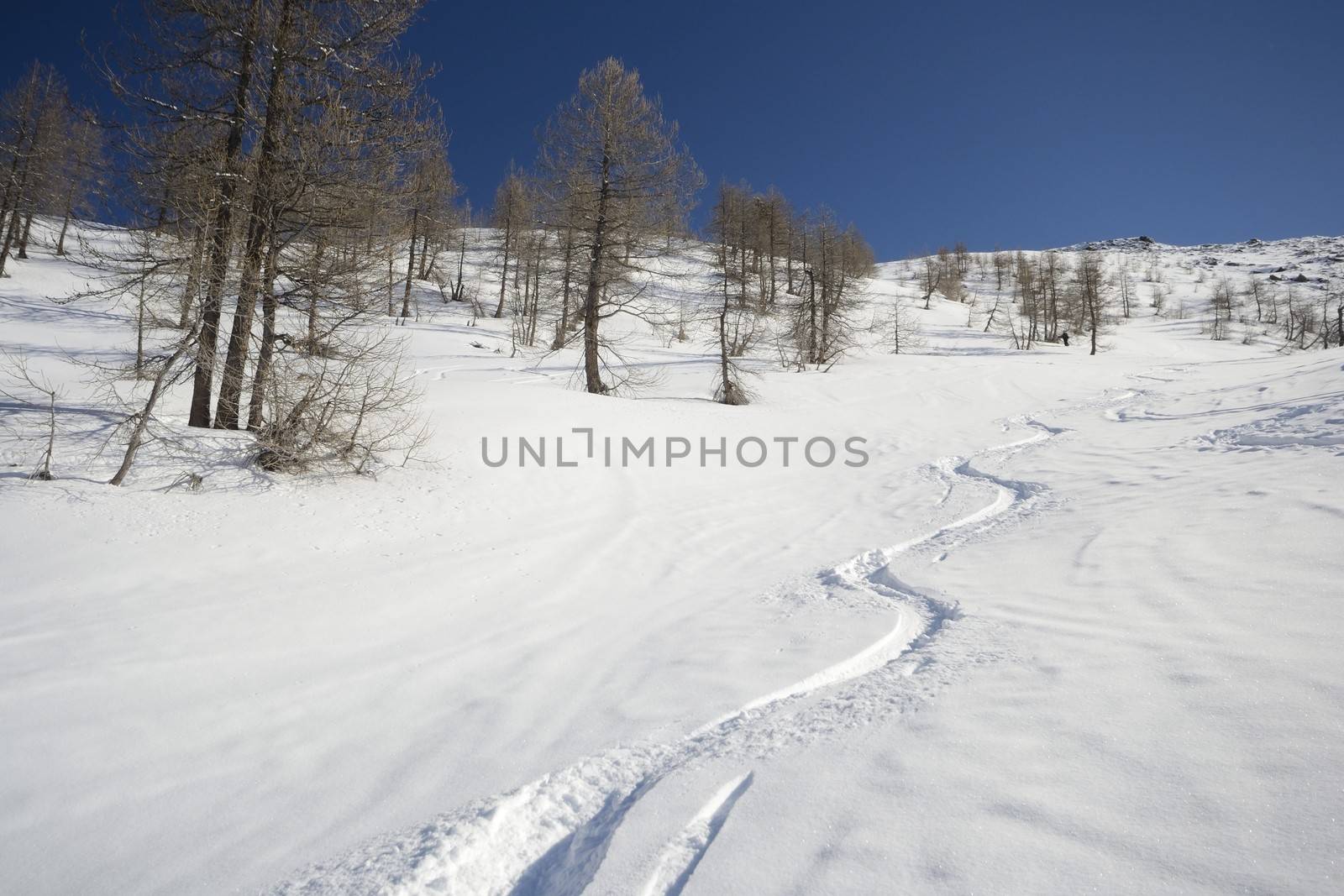 Ski touring (back country skiing) in majestic high mountain scenery, italian Alps