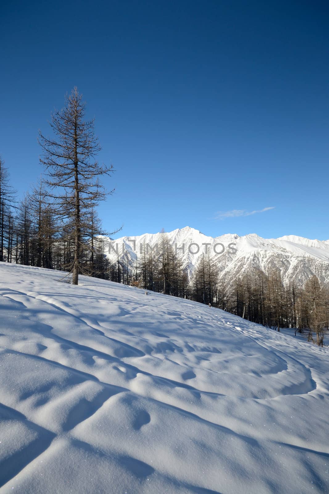 Candid off-piste ski slope in scenic background of mountain peaks, valleys and plain. Piedmont, Italian Alps