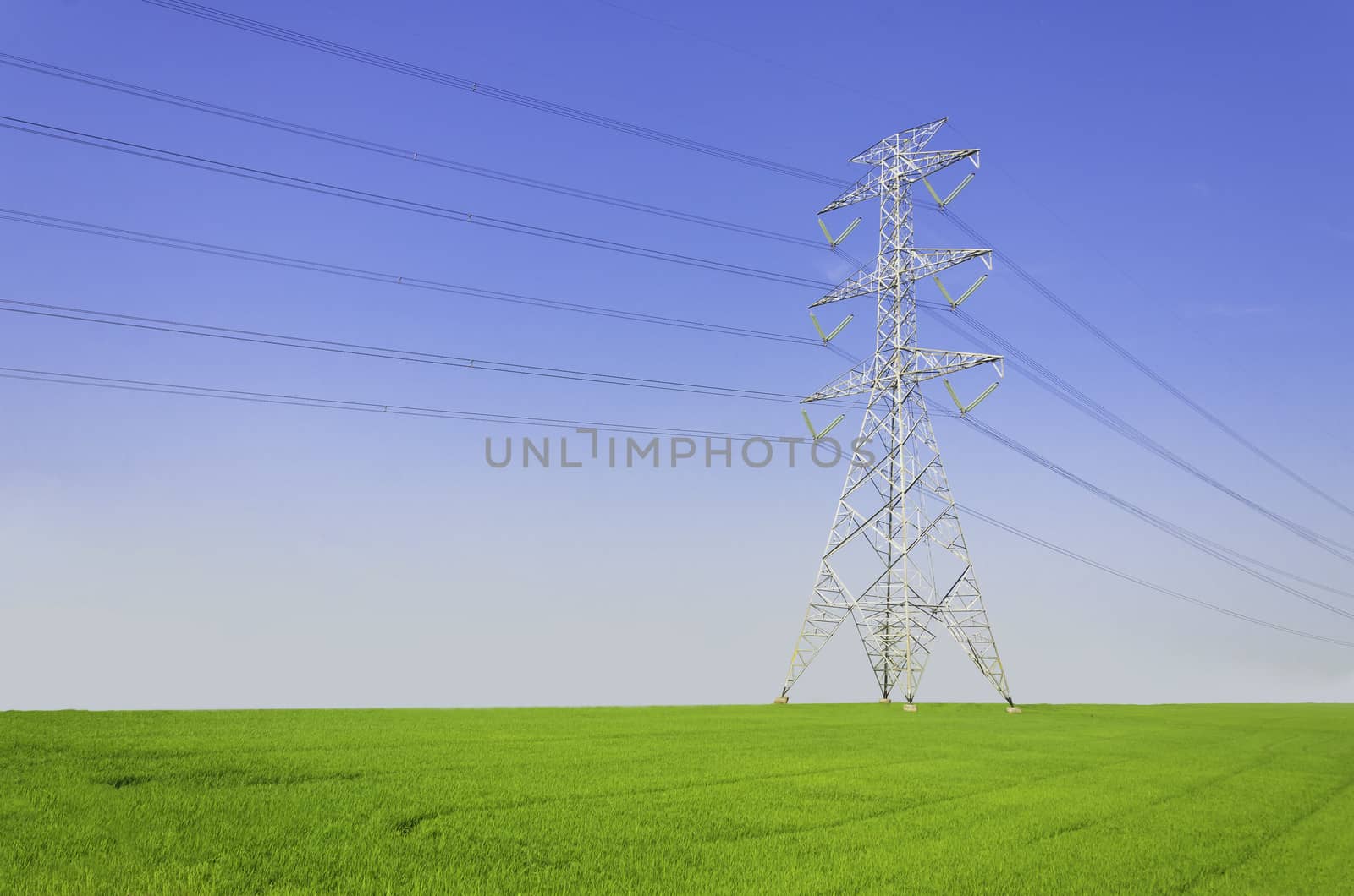 Electric tower on green field by thekaikoro