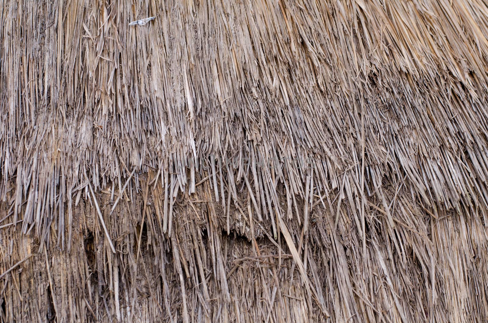 Dry straw pattern by thekaikoro