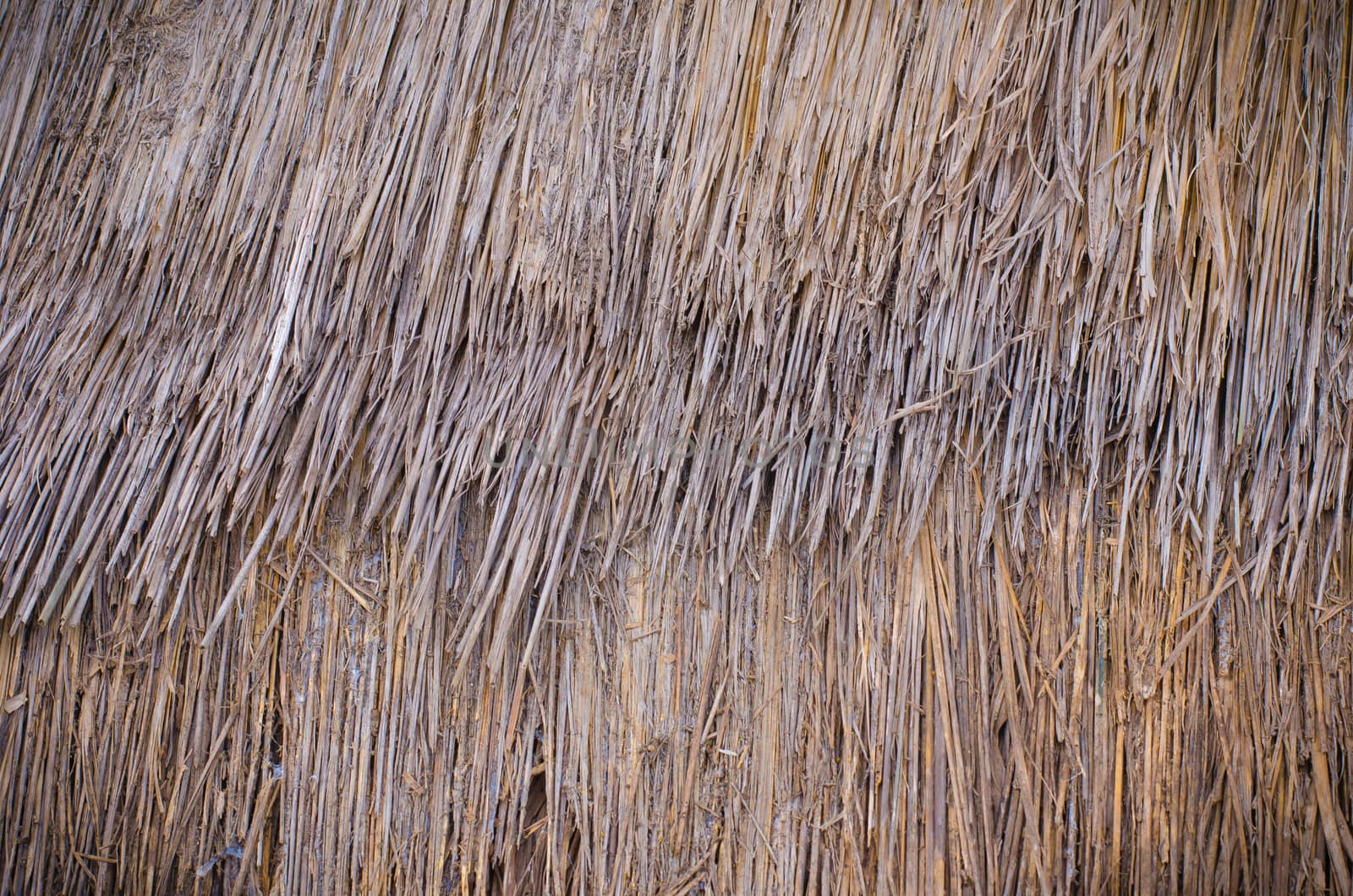 Dry straw pattern by thekaikoro