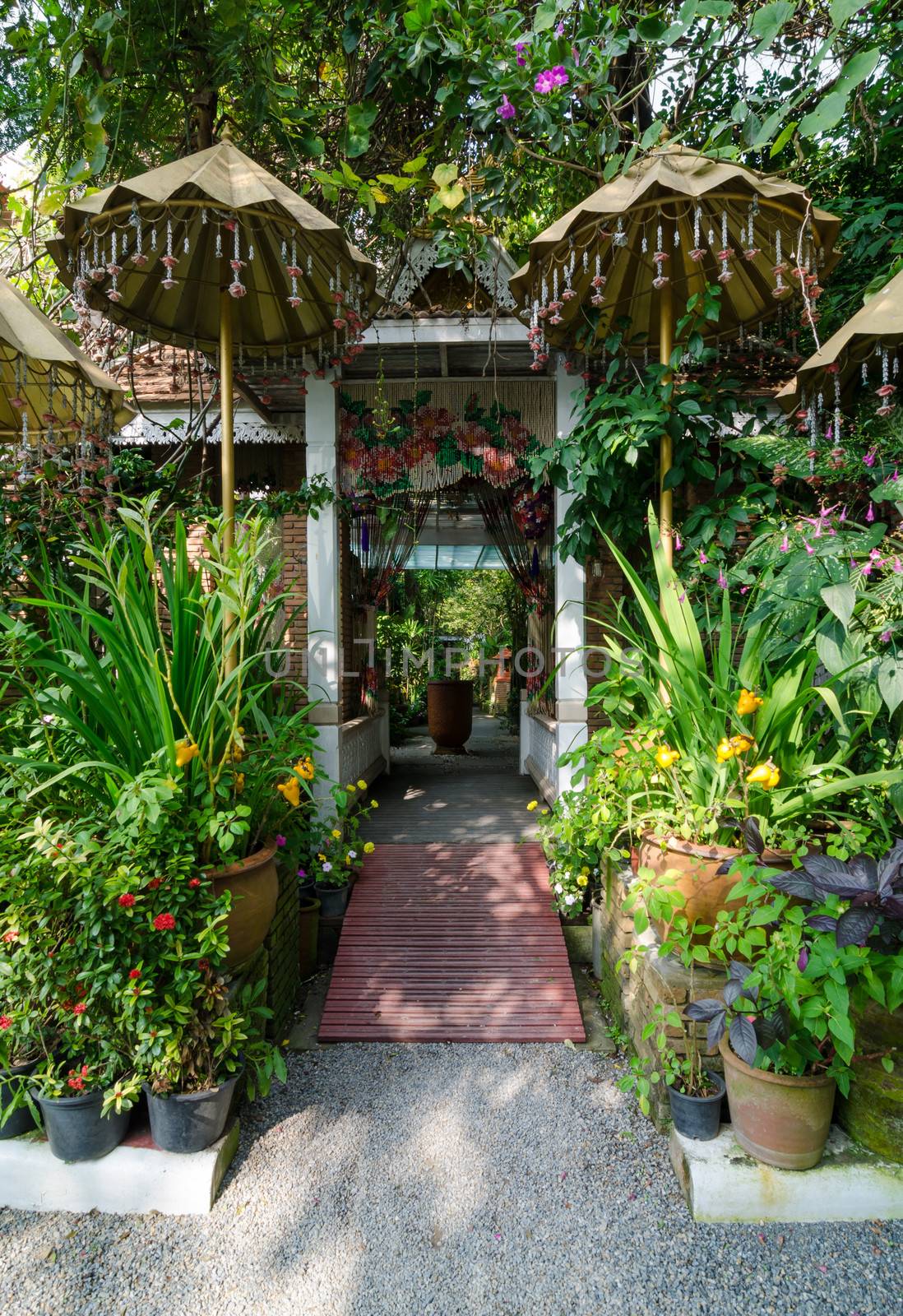 Beautiful garden entrance - natural open corridor in botanic park