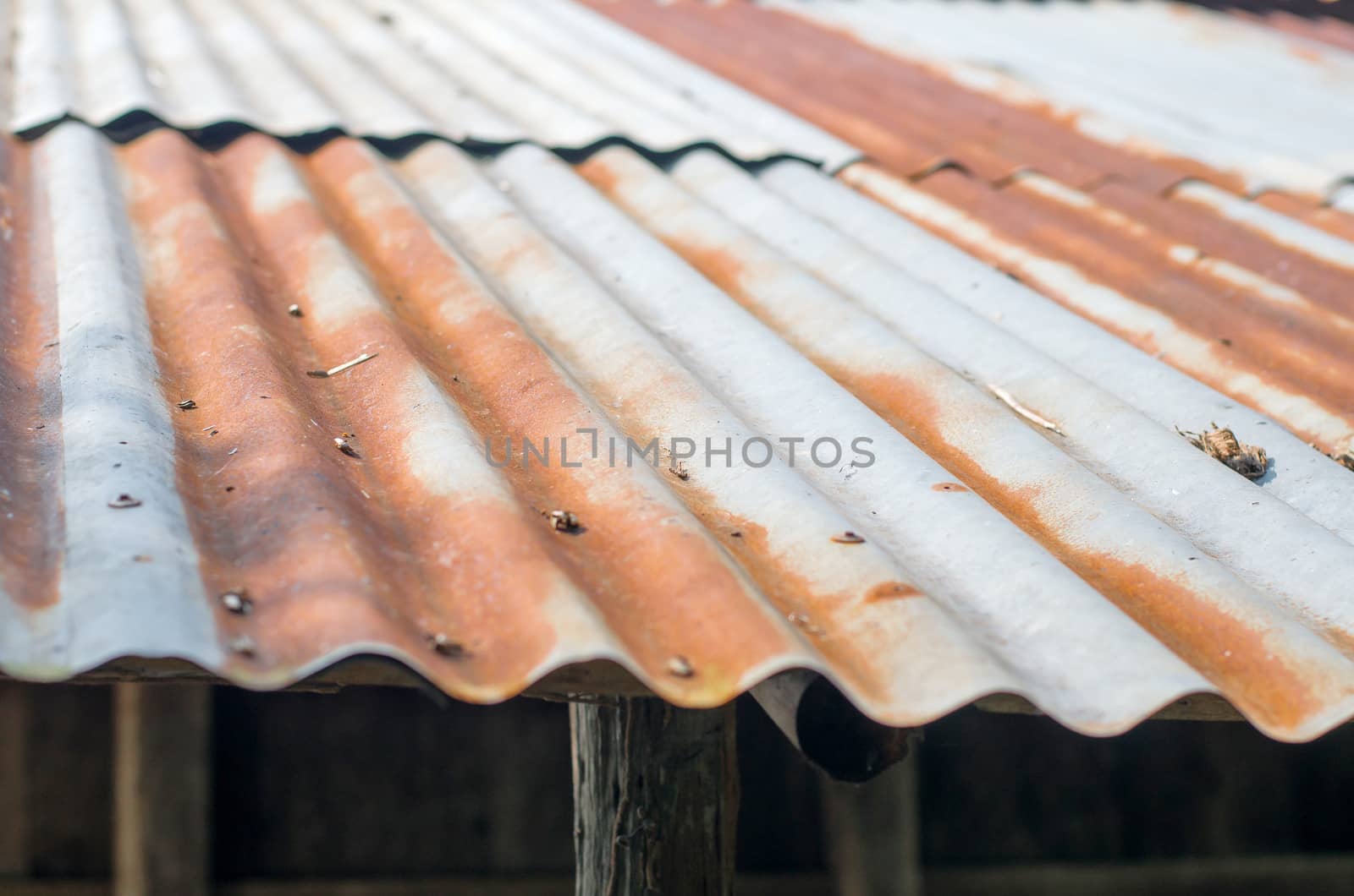 Rusty Roof by thekaikoro