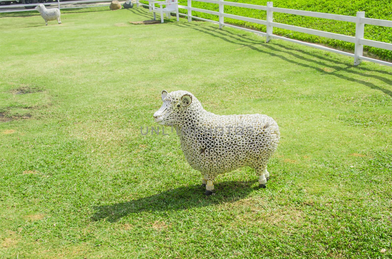 Spring Sheep on farm