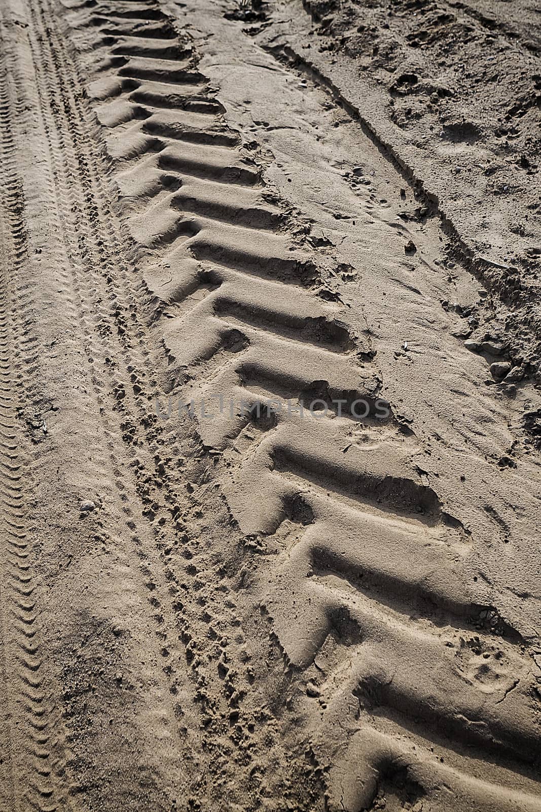 Tractor tire tracks on beach sand. Horizontal shot