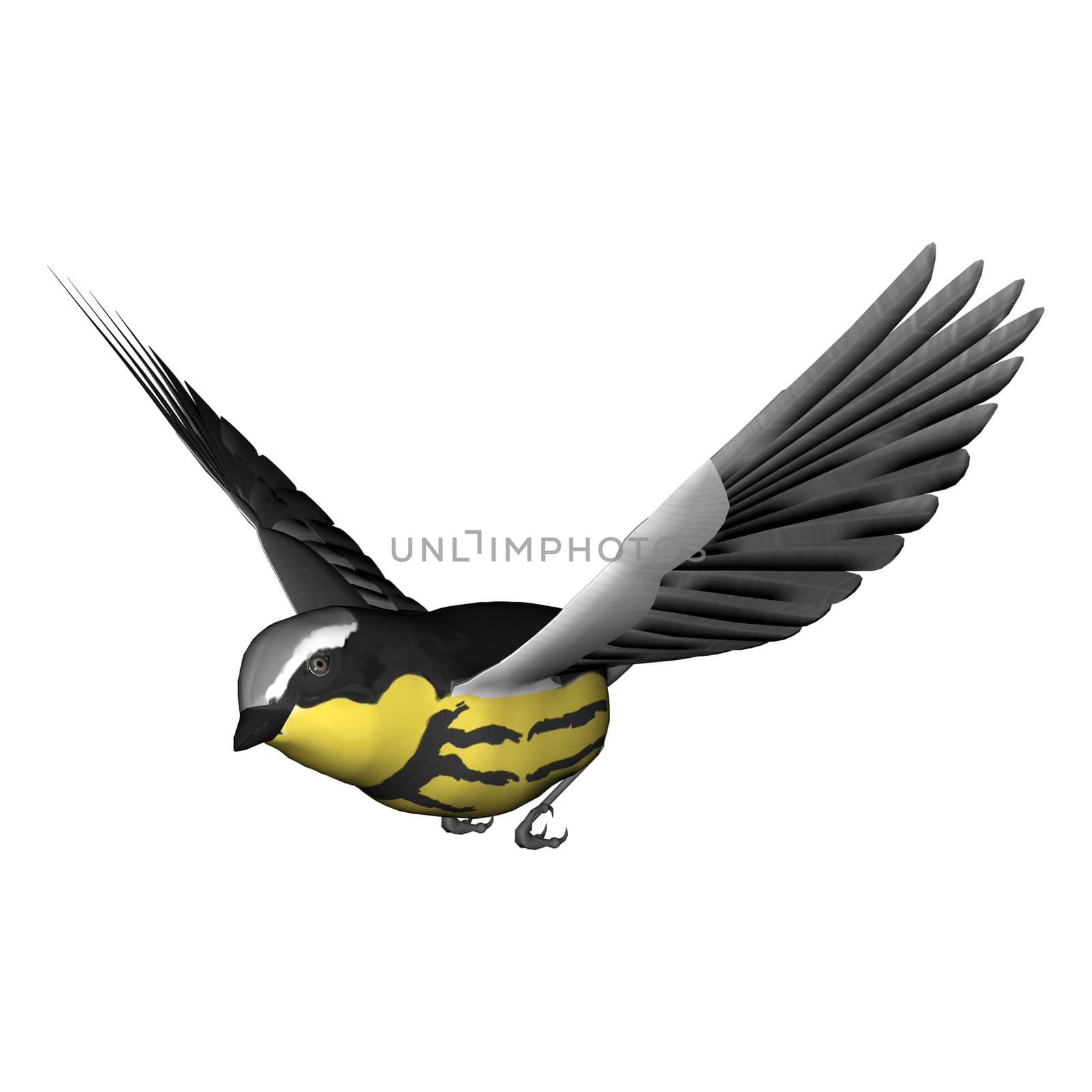 3D digital render of a flying songbird warbler isolated on white background