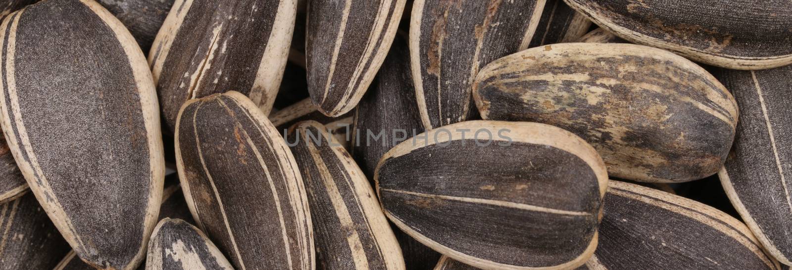 Background of sunflower seeds. Whole background. Black seeds.
