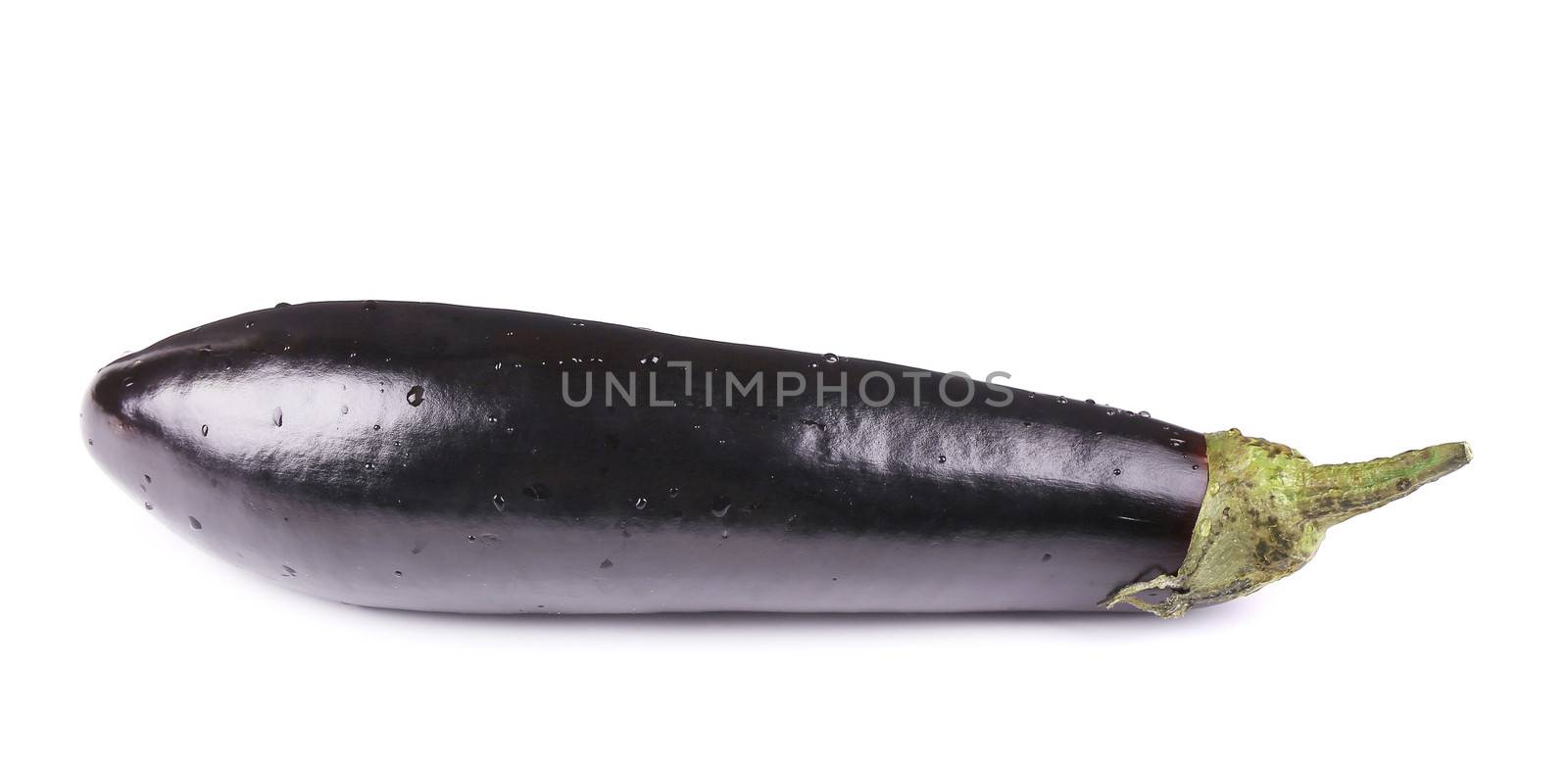 Large single eggplant. by indigolotos