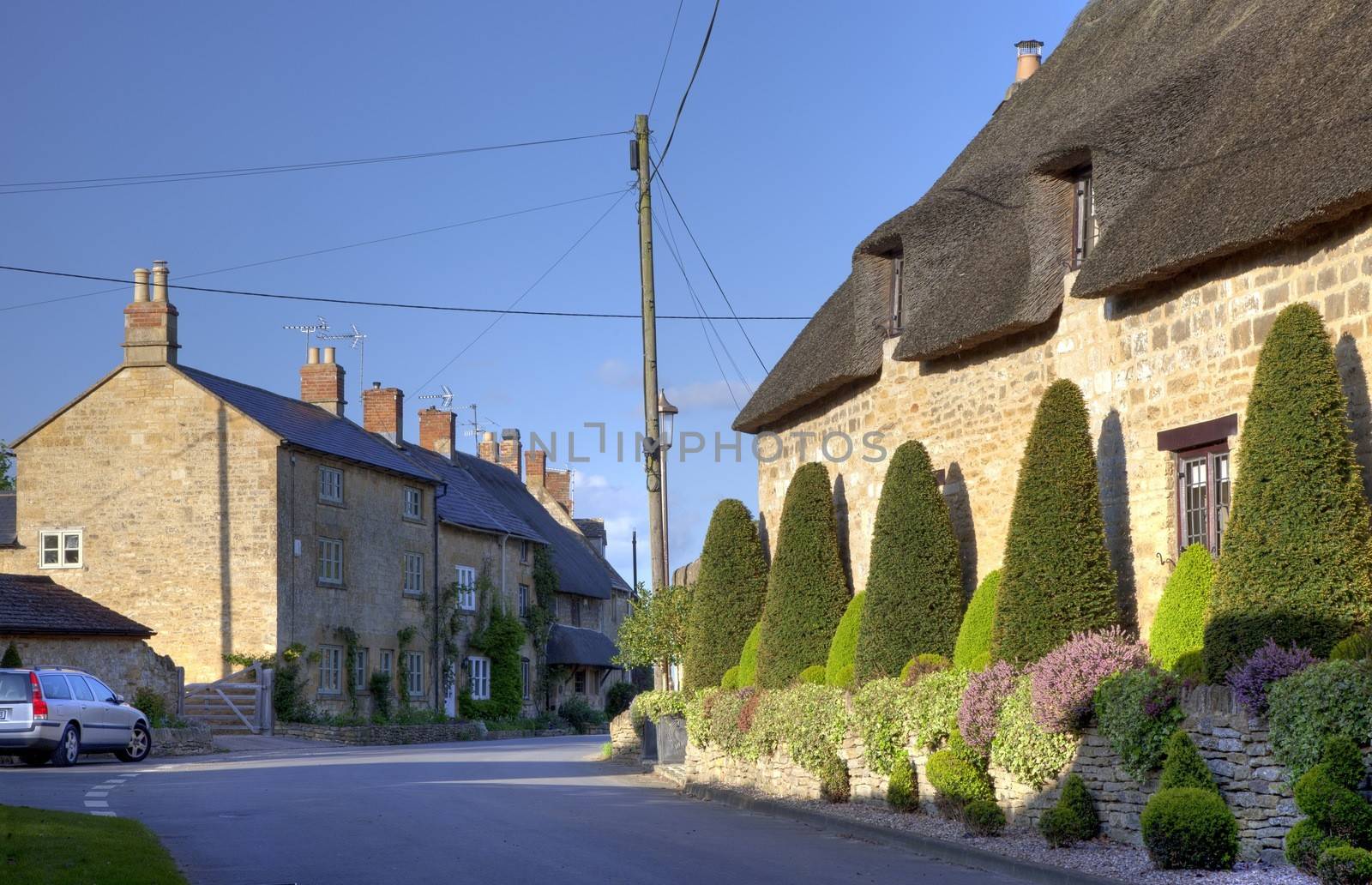 Clipped topiary outside thatched cottage, Broad Campden near Chipping Campden, Gloucestershire, England.