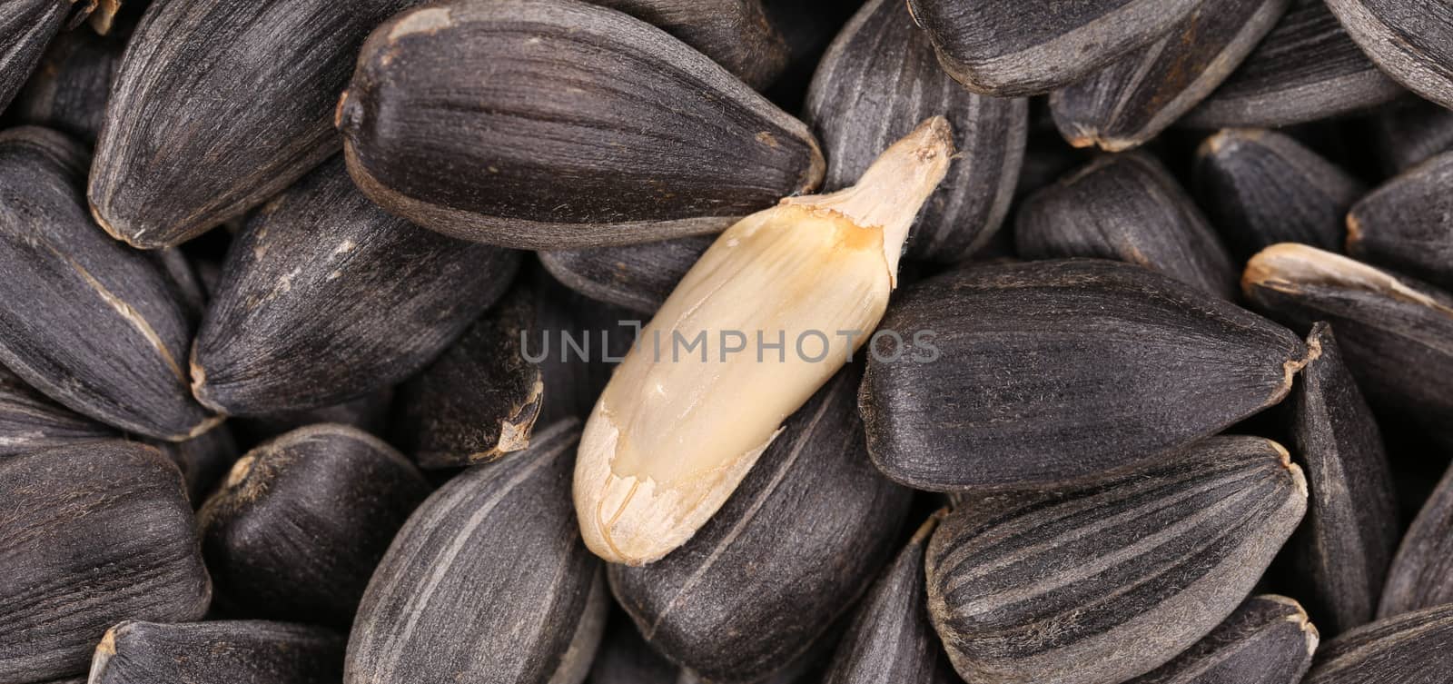 Close up of black sunflower seeds. by indigolotos