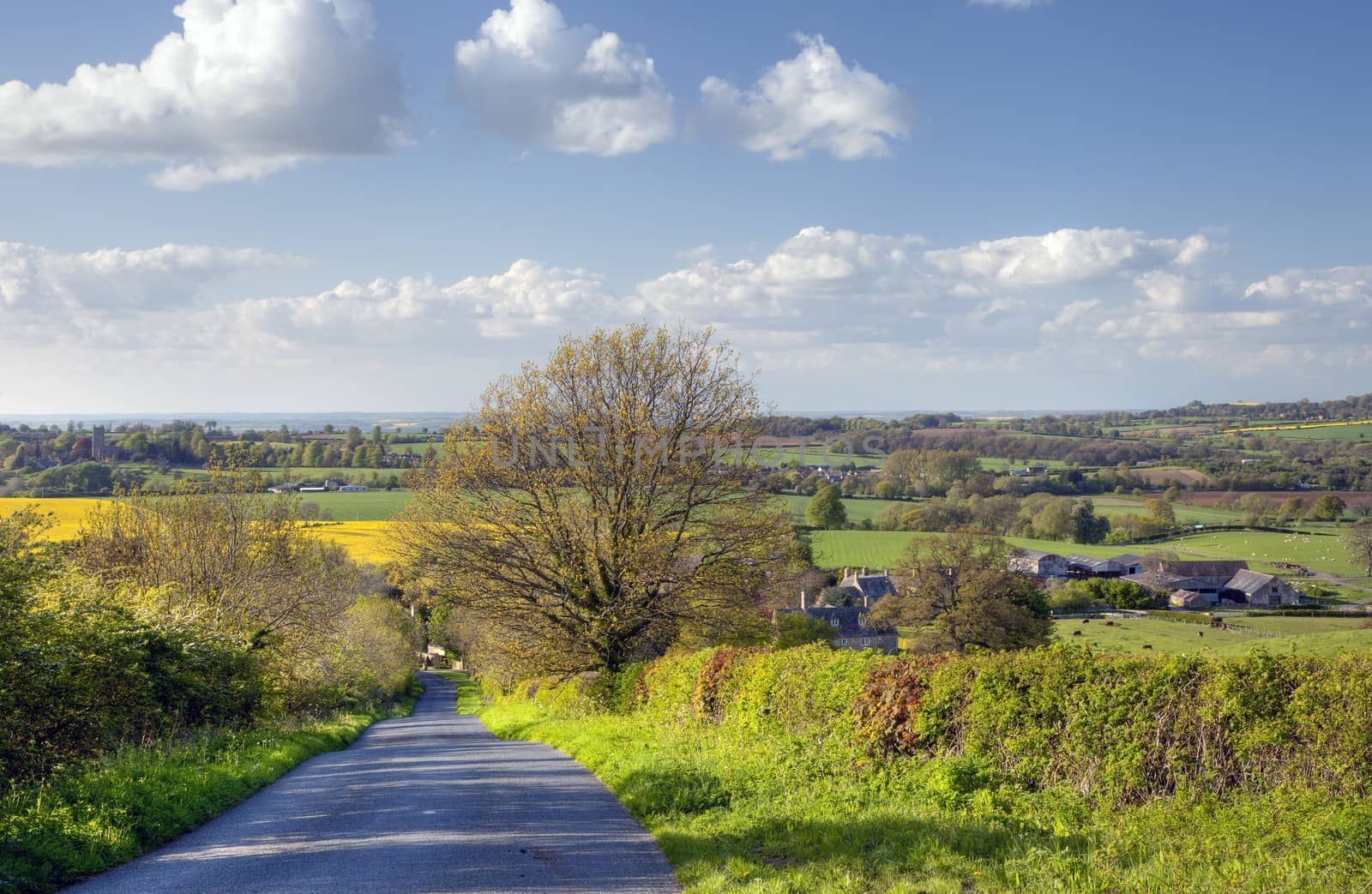 Rural Gloucesteshire, England by andrewroland