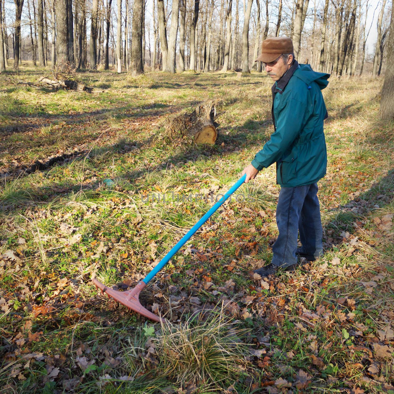 Elderly worker running in the old park in october