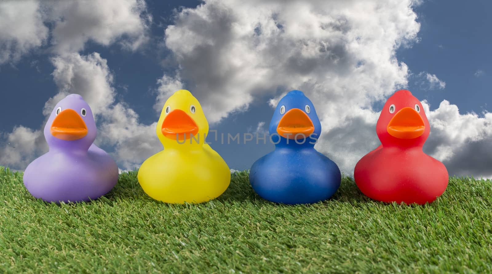 pink yellow red and blue ducks on green grass