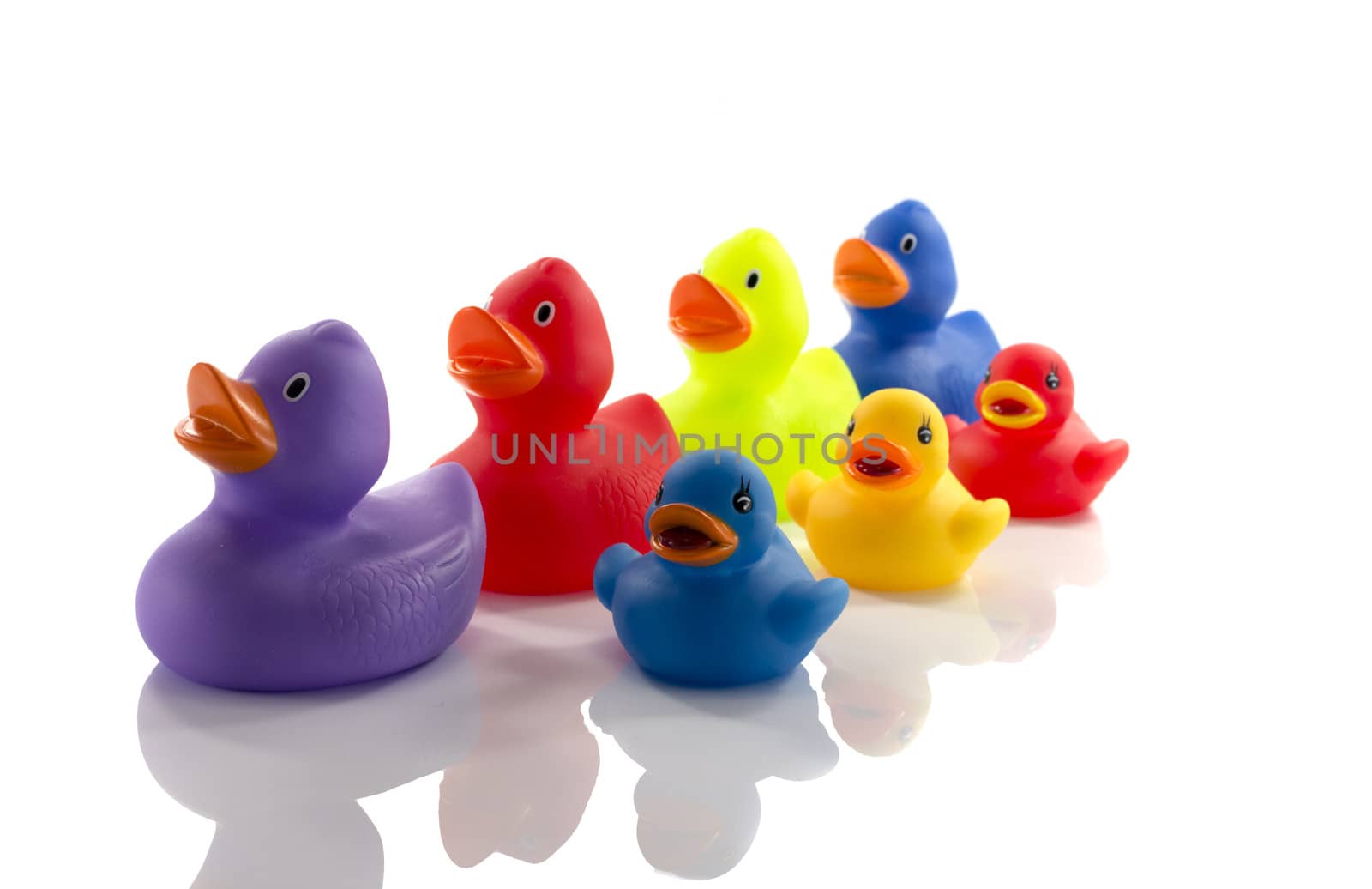 toy ducks isolated on white background