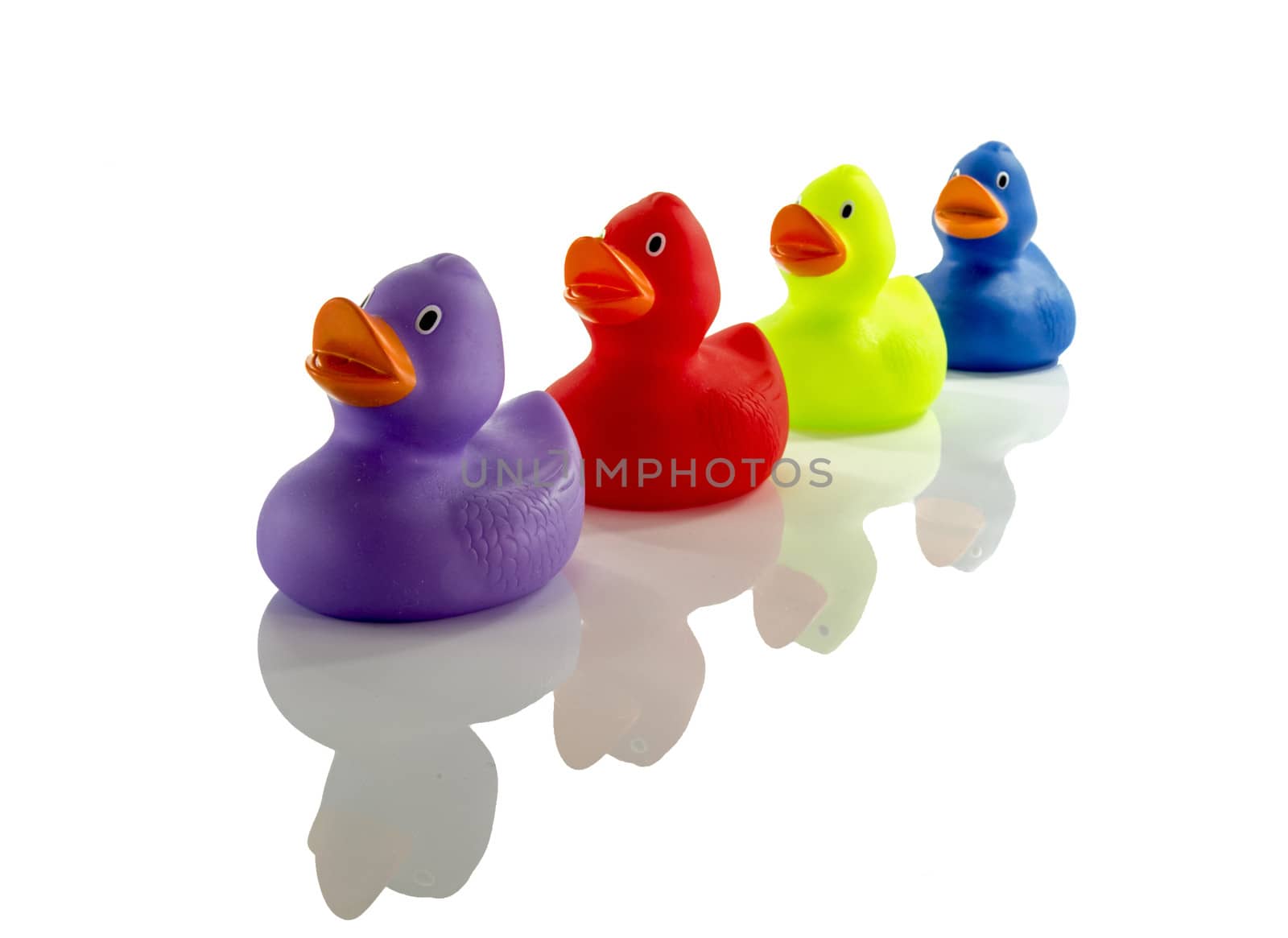 toy ducks isolated on white background