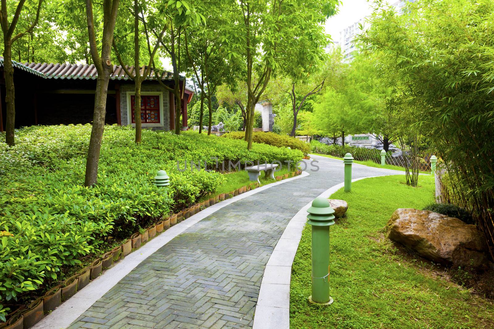 Chinese garden with walking path