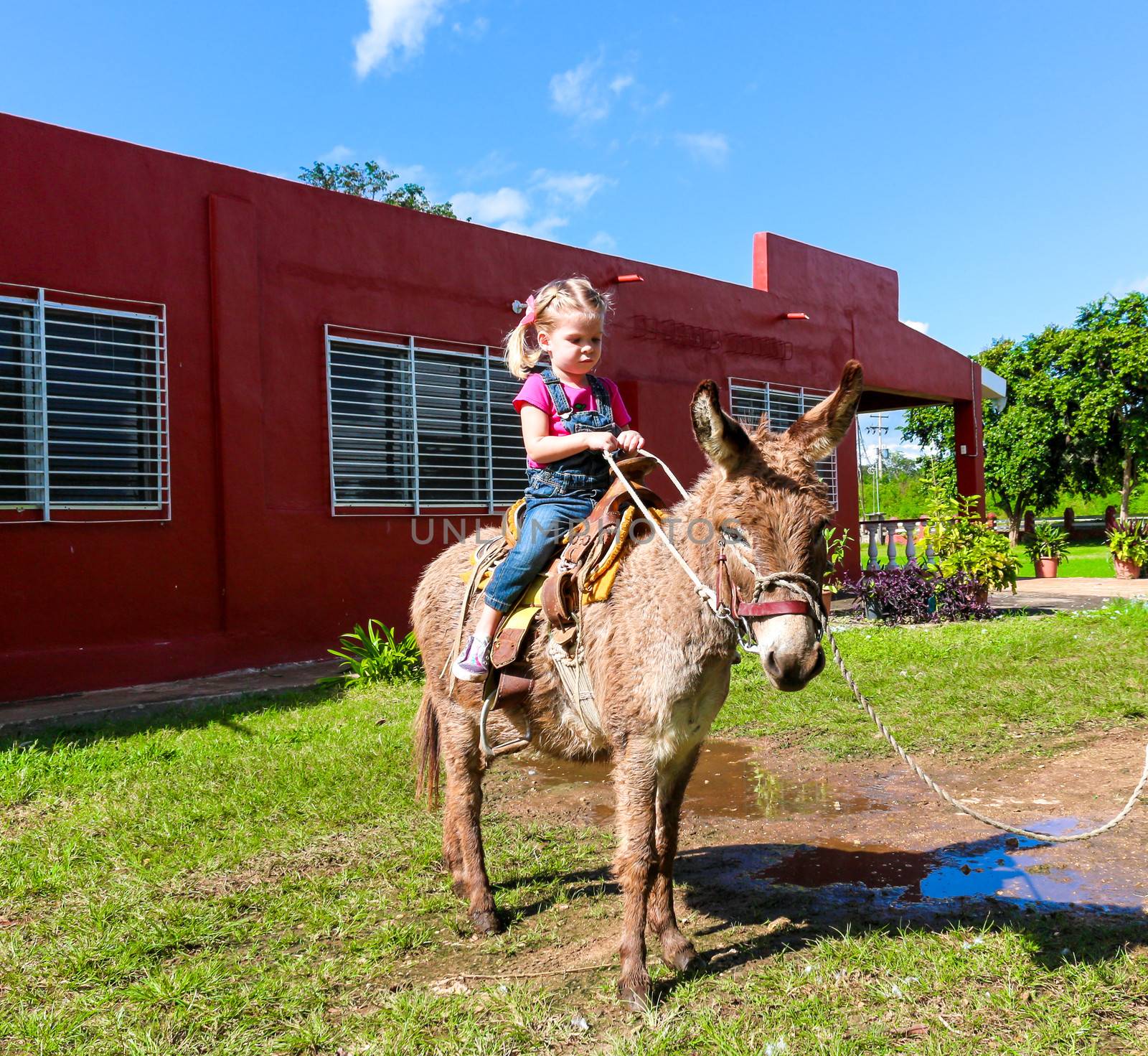 child riding a miniature donkey by javiercorrea15