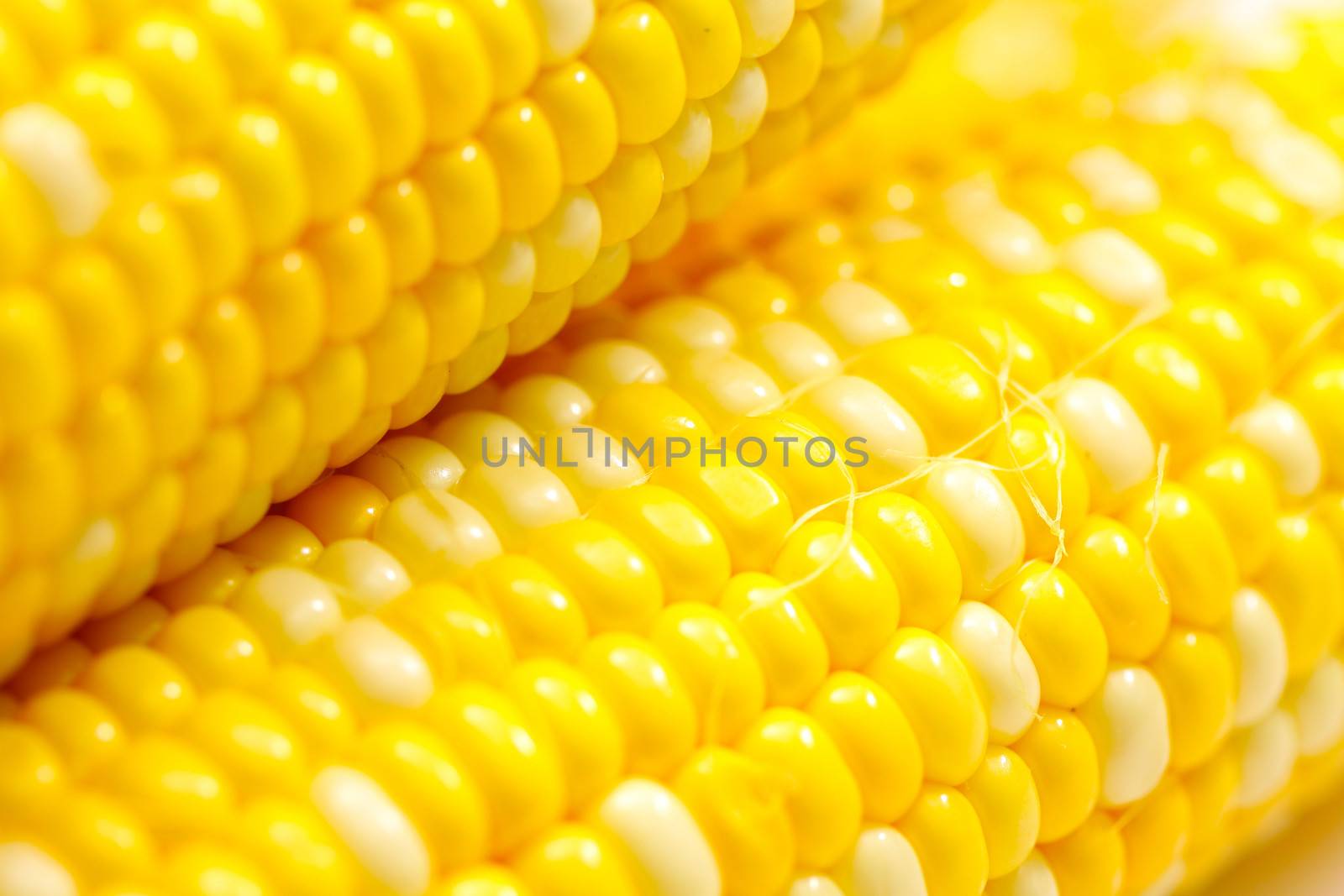 Corn cob by kawing921